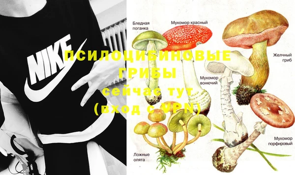 соль курить ск Алексеевка