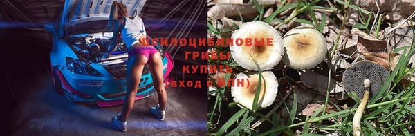 соль курить ск Алексеевка
